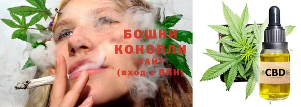 прущие грибы Абинск