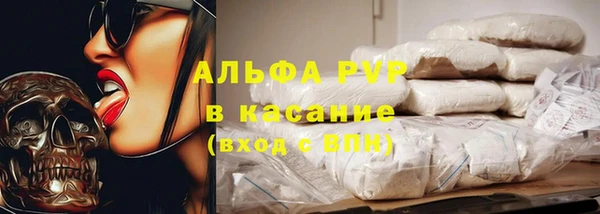 прущие грибы Абинск