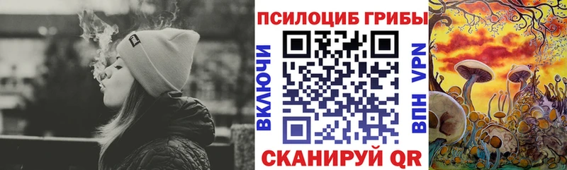 закладка  гидра как зайти  Псилоцибиновые грибы Magic Shrooms  Ильский 